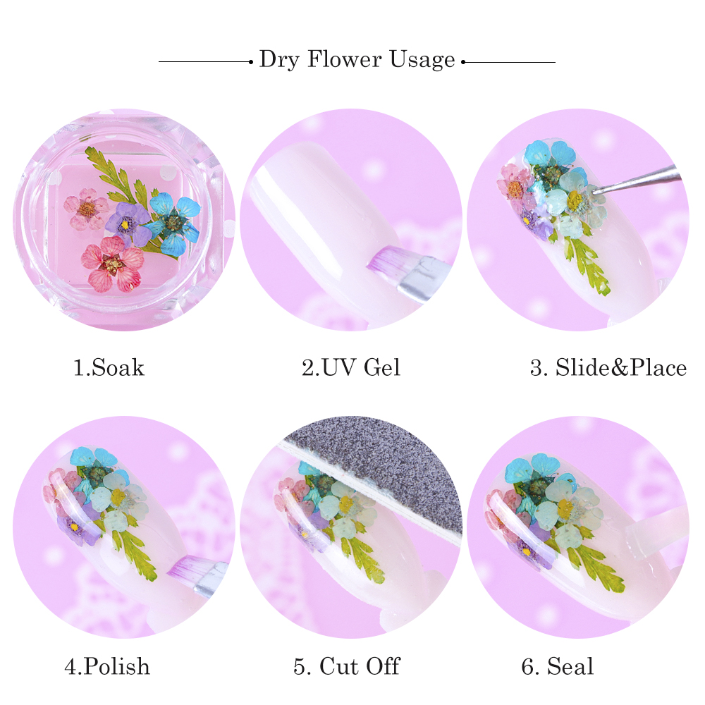 Natural Dried Flowers Decorations