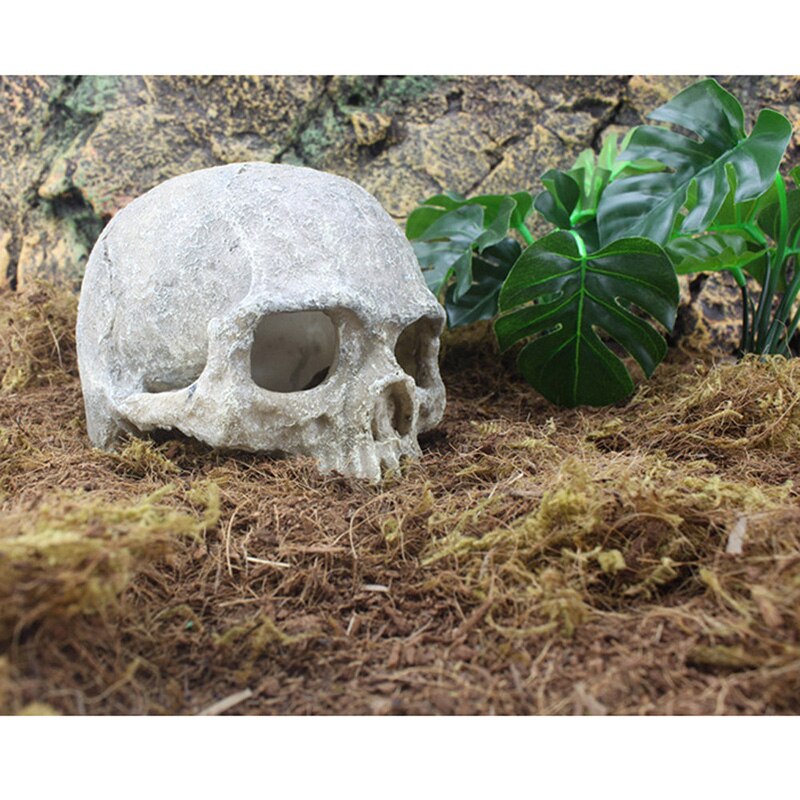 Skull Figurine for Decor